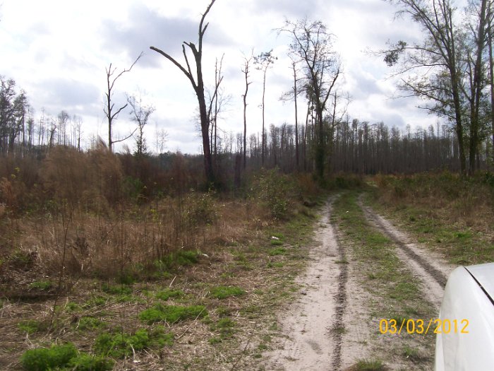 2012-Mar-03HGR4X4Richloam 043